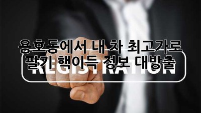 🚗💨 용호동에서 내 차 최고가로 팔기?! 핵이득 정보 대방출! 💰