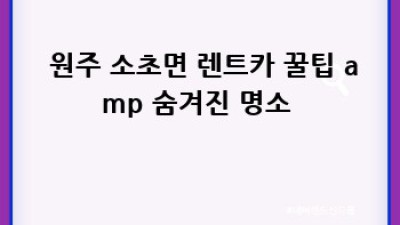 🚗 강원도 원주 렌트카 완전정복! 중고차 대여 꿀팁까지?! ✨